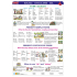 Ditipo Basic English III Englisch-Lehrtafel A4 21,4 x 30 x 0,1 cm
