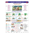 Ditipo Basic English IV Englisch-Lehrtafel A4 21,4 x 30 x 0,1 cm