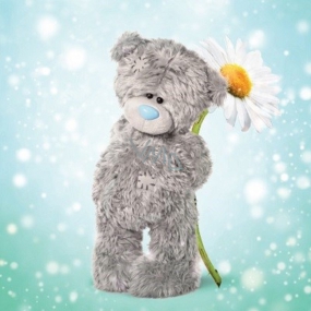 Ich zu dir Herzlichen Glückwunsch zum Umschlag 3D Teddybär mit Gänseblümchen 15,5 x 15,5 cm