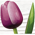 Böhmen Geschenke Holztulpe violettweiß 34 cm