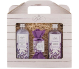 Bohemia Gifts Lavender La Provence Duschgel 100 ml + Haarshampoo 100 ml + handgemachte Seife 30 g, Kosmetikset