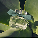 Chloé Rose Naturelle Intense Eau de Parfum Nachfüllbarer Flakon für Frauen 50 ml