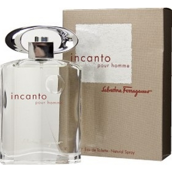 Salvatore Ferragamo Incanto Homme EdT 50 ml Eau de Toilette Damen