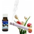 Slow-Natur Anti-Tabak ätherisches Öl 10 ml