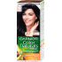 Garnier Color Naturals Haarfarbe 1+ ultra schwarz