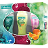 Palmolive Momente der Entspannung SG 250 ml + Duschgel 250 ml + SG 250 ml, Kosmetikset