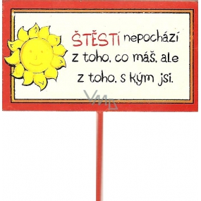 Nekupto Zeichen für Blumentopf Glück 30 cm