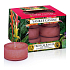 Yankee Candle Tropical Jungle - Teekerze mit Duft nach tropischem Dschungel 12 x 9,8 g