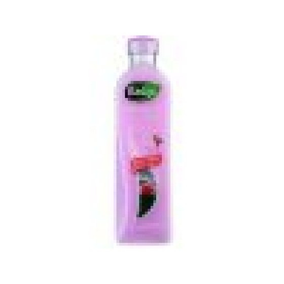 Radox Daily Elements Badeschaum 500 ml