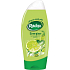 Radox Energize Limetten- und Minzduschgel 250 ml