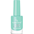 Golden Rose Color Expert Nagellack 67 10,2 ml