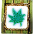 Bohemia Gifts Cannabis handgemachte Toilettenseife in einer Schachtel mit 80 g