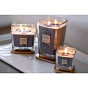 Yankee Candle Dark Berries Elevation großes Glas 1 Docht 96 g