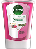 Dettol Waldfrüchte Flüssigseife Nachfüllung, 250 ml