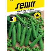 Semo Erbsen Vladan früh 50 g