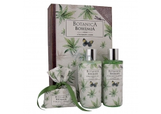 Bohemia Gifts Botanica Hanföl Duschgel 200 ml + Haarshampoo 200 ml + Toilettenseife 100 g, Buchkosmetik-Set