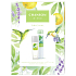 Chanson d Eau Original parfümiertes Deo-Glas 75 ml + Deo-Spray 200 ml, Kosmetik-Set für Frauen