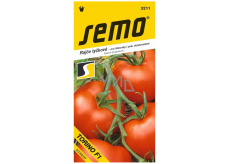Saatgut Tomate Torino F1 45 Samen