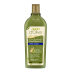 Dalan d Olive Anti Dandruff mit Olivenöl Haarshampoo gegen Schuppen 400 ml