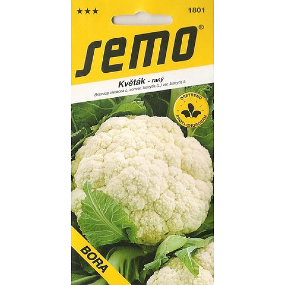 Semo Blumenkohl frühe Bora 0,5 g