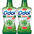 Odol Stoma Paradentol Mundwasser 2 x 500 ml, Duopack