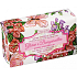 My Iteritalia Glicine e Bougainvillea Italienische Toilettenseife 250 g