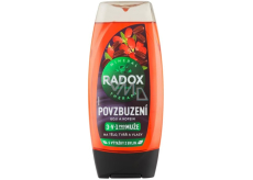 Radox Men 3in1 Encouragement Goji und Koffein Duschgel für Männer 225 ml