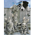 Nekupto Geschenk Papiertüte 23 x 18 x 10 cm Kätzchen und Hund 1 Stück 1152 02 KFM