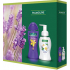 Palmolive Aroma Sensations So entspanntes Duschgel 250 ml + Magic Softness Jasmin Flüssigseifenspender 250 ml, Kosmetikset