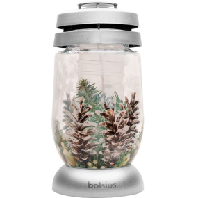 Bolsius Glaslampe Zweige 23 cm 120 g Bolsius Glaslampe Zweige 23 cm 120 g