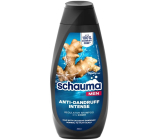 Schauma Men Anti-Schuppen Anti-Schuppen Haarshampoo für Männer 400 ml