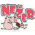 Nekupto Geschenke mit Humor Kühlschrankmagnet Nezer 9 x 6,5 cm