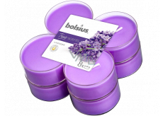Bolsius Aromatic Levander - Lavendel Maxi duftende Teelichter 8 Stück, Brenndauer 8 Stunden