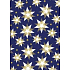 Ditipo Geschenkpapier 70 x 200 cm Weihnachtsblau Weißgold Sterne