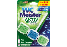 WC Meister Aktiv Kraft Duft von Wald WC Block, 45 g