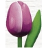 Böhmen Geschenke Holztulpe lila-weiß 20 cm