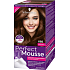 Schwarzkopf Perfect Mousse Permanentschaum Haarfarbe 668 Peanut