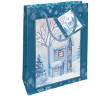 Nekupto Geschenkpapier Tasche 14 x 11 x 6,5 cm Weihnachten Schneehaus