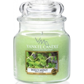 Yankee Candle Wild Mint Classic mittleres Glas 411 g
