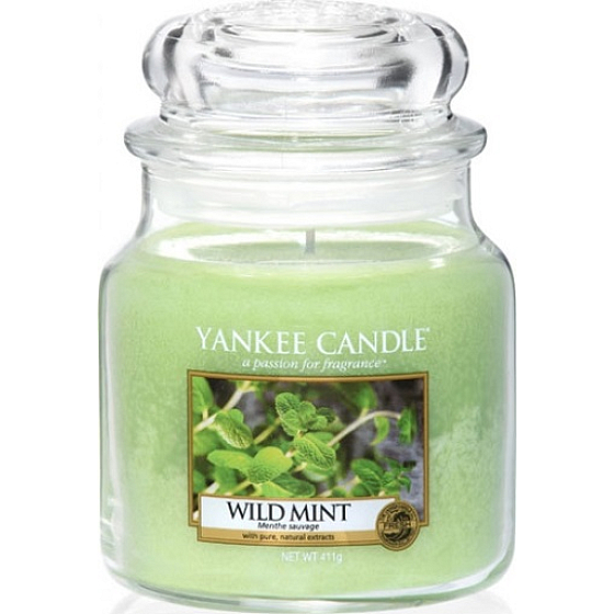 Yankee Candle Wild Mint Classic mittleres Glas 411 g