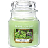 Yankee Candle Wild Mint Classic mittleres Glas 411 g