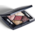 Christian Dior 5 Couleurs Palette mit 5 Lidschatten 876 Trafalgar 6 g