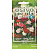 Seva - Flora Carnation Orion - Farbmischung 0,5 g