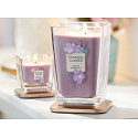 Yankee Candle Sugared Wildflowers - Süße Wildblumen Sojaduftkerze Elevation kleines Glas 1 Knoten 96 g