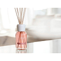 Millefiori Milano Natural Almond Blush - Mandelpuderdiffusor 250 ml + 8 Stiele 30 cm lang in mittelgroßen Räumen mindestens 3 Monate haltbar