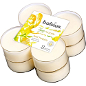 Bolsius True Moods fühlen sich glücklich Mango & Bergamotte - Mango und Bergamotte Maxi duftenden Teelichter 8 Stück, Brenndauer 8 Stunden