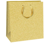 Ditipo Papier Geschenktüte 20 x 8 x 20 cm Gold