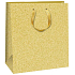 Ditipo Papier Geschenktüte 20 x 8 x 20 cm Gold