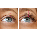 Bourjois Volumen Glam Lift & Stretch Wimperntusche 01 Schwarz