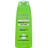 Garnier Fructis Fresh Menthol Anti-Schuppen-Shampoo für schnell schmierendes Haar 250 ml